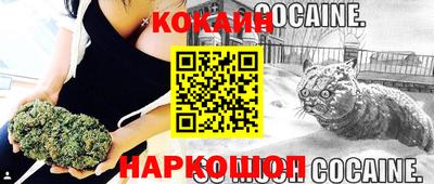 тгк Моздок