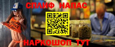 прущие грибы Можайск